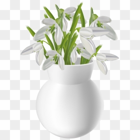 White Flower Vase Png , Png Download - Ghiocei Clipart, Transparent Png - vase png