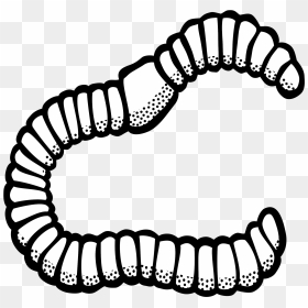 Earthworm Clip Art - Worm Black And White Clipart, HD Png Download - worm png