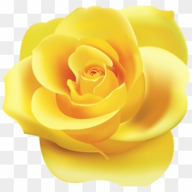 Yellow Rose Clipart Png , Png Download - Yellow Color Rose Flower Clip Art, Transparent Png - rose clipart png