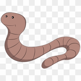 Worm Meaning, HD Png Download - worm png