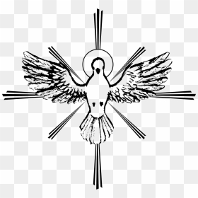 Holy Spirit In Christianity Drawing Doves As Symbols - Espirito Santo Png, Transparent Png - spirit png
