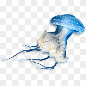 Underwater Animals Png - Transparent Georgia Aquarium Logo, Png Download - underwater png