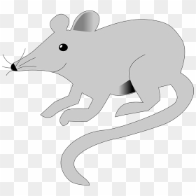 Mickey Mouse Silhouette - Mouse, HD Png Download - mickey mouse silhouette png