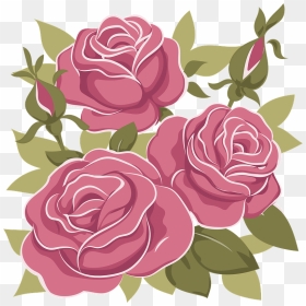 Floribunda, HD Png Download - rose clipart png