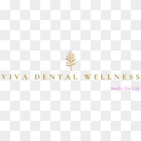 Dental Clinic In Windermere Edmonton - Graphic Design, HD Png Download - gold teeth png
