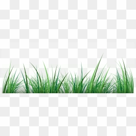 Green Clip Art - Portable Network Graphics, HD Png Download - grass vector png