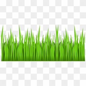 Thumb Image - Cartoon Grass Transparent Background, HD Png Download - grass vector png