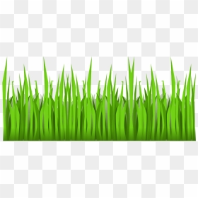 Thumb Image - Cartoon Grass Transparent Background, HD Png Download - grass vector png