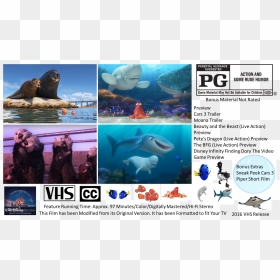 Finding Dory Vhs Full Screen - Finding Nemo Full Screen, HD Png Download - finding dory png