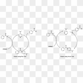 Difference Between Quinoline And Quinazoline, HD Png Download - drawn circle png