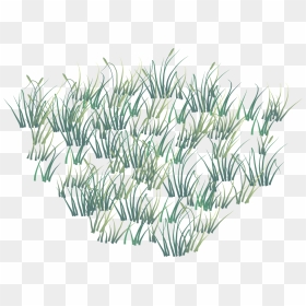 Vector Grass Png - Grass, Transparent Png - grass vector png