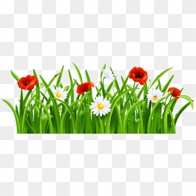 Lawn Vector Patch Grass - Grass And Flower Png, Transparent Png - grass vector png