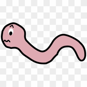Cartoon Worm No Background, HD Png Download - worm png