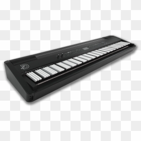 Digital Piano, HD Png Download - piano keyboard png