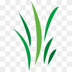 Free Cool Vector Designs Png, Transparent Png - grass vector png