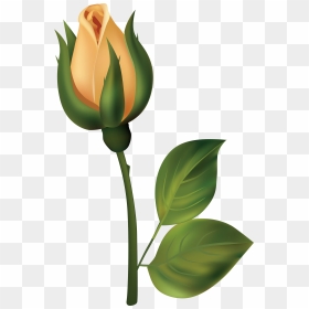 Yellow Rose Bud Png Clipart - Flower Bud Clipart, Transparent Png - yellow flower png