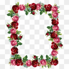 Antique Rose Designs - Rose Frame Transparent Background, HD Png Download - rose clipart png