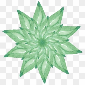 Transparent Grass Vector Png - Symmetry, Png Download - grass vector png