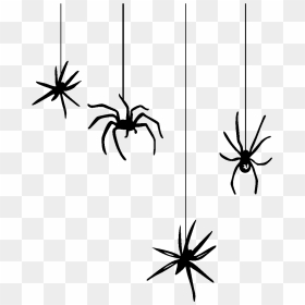 Halloween Spiders Hanging From Web Clipart Image Black - Hanging Spider Clipart, HD Png Download - realistic spider web png