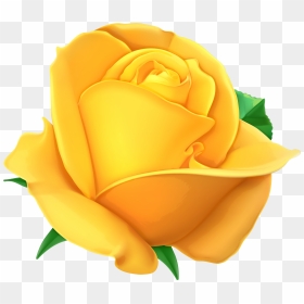 Yellow Rose Clipart Png, Hd Png Download - Transparent Background Yellow Rose Clipart, Png Download - rose clipart png