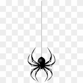 Halloween Spider Webs Clipart Banner Free Library Halloween - Spider Hanging From Web Drawing Png, Transparent Png - realistic spider web png