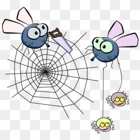Fly Cutting Spider Web Vector Illustration - Spider Web Clip Art, HD Png Download - realistic spider web png