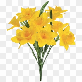 Artificial Daffodils Transparent Png - Transparent Background Daffodil Png, Png Download - daffodil png
