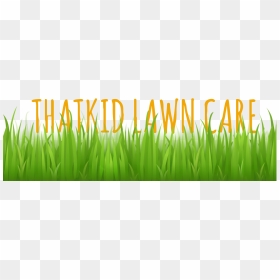 Lawn Mowing - Trimming - Watering - Edging - Thatching - Grass Vector Free, HD Png Download - grass vector png