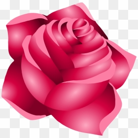 Pink,plant,flower - Flor Rosa Pink Png, Transparent Png - red flower png