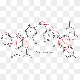 Diagram, HD Png Download - red arrows png