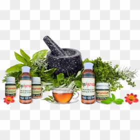 Mortar Pestle Herbs Png, Transparent Png - medicine png