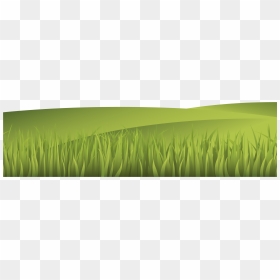 Vector Illustration Grass Landscape Png Download - Paddy Field, Transparent Png - grass vector png