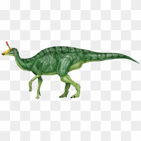 Dinosaur Clipart Free Download - Realistic Dinosaur Clipart, HD Png Download - dinosaur clipart png