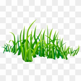Png, Hd Png Download - หญ้า น่า รัก ๆ, Transparent Png - grass vector png