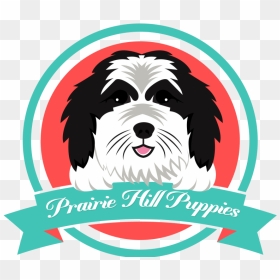 Tibetan Terrier, HD Png Download - puppies png