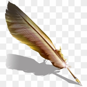 Pen Fountain Feather Quill Hd Image Free Png - Quill Feather Pen Png, Transparent Png - quill png