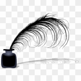 Writing Feather Png - Feather Pen, Transparent Png - vhv