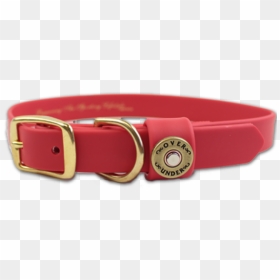 Red Collar Transparent Background, HD Png Download - dog collar png