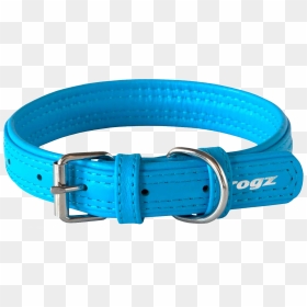 Dog Collar Png - Dog Collar Transparent Background, Png Download - dog collar png