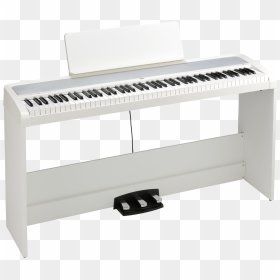 Korg B2 Sp, HD Png Download - piano keyboard png