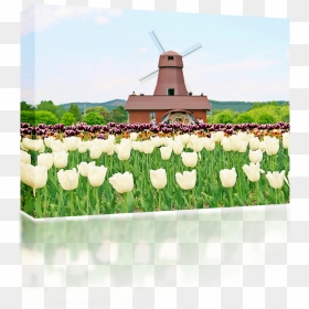 Windmill , Png Download - Windmill, Transparent Png - windmill png