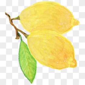 Png Watercolor Yellow Flower , Png Download - Watercolor Yellow Flowers Transparent Background, Png Download - yellow flower png