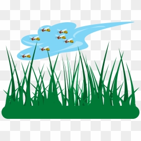 Jardin Dibujo Png, Transparent Png - grass vector png
