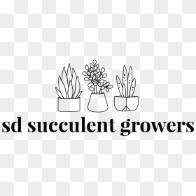Flowerpot, HD Png Download - succulents png