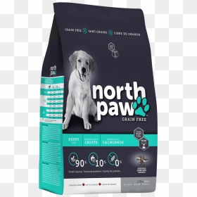 Bag-puppy Mockup Mar30 - North Paw Dog Food, HD Png Download - puppies png