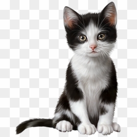 Transparent Kitten Clipart, HD Png Download - kittens png