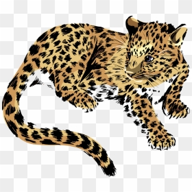 Clouded Leopard Clip Art, HD Png Download - jaguar png