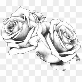 Tattoo Flash Art Drawing Rose Free Frame Clipart - Rose Tattoo Design, HD Png Download - rose tattoo png