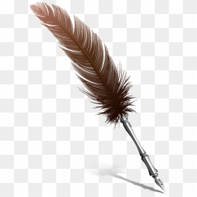Feather Pen Quill Nib - Feather Pencil Png, Transparent Png - quill png