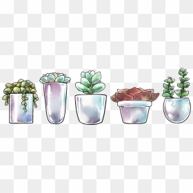 “ Some Big Transparent Succulents For All Your Nature - Transparent Succulent Illustration, HD Png Download - succulents png